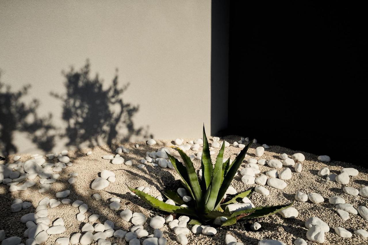 Villa Barbara Porec Exterior photo